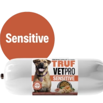 Dieta Vetpro para Perro Senior sabor Pavo  gr 