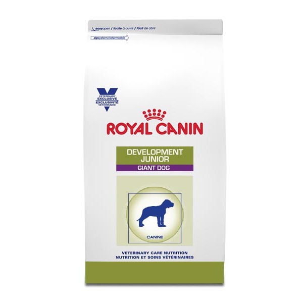 Development junior giant dog