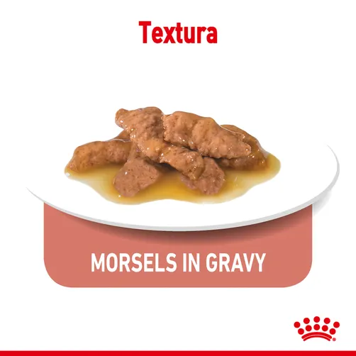 Royal Canin Indoor 7+ Alimento Húmedo para Gatos 85grs Pza 