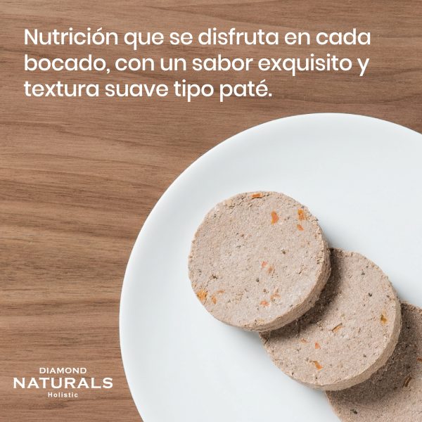 Lata Beef Dinner 374grs Pza