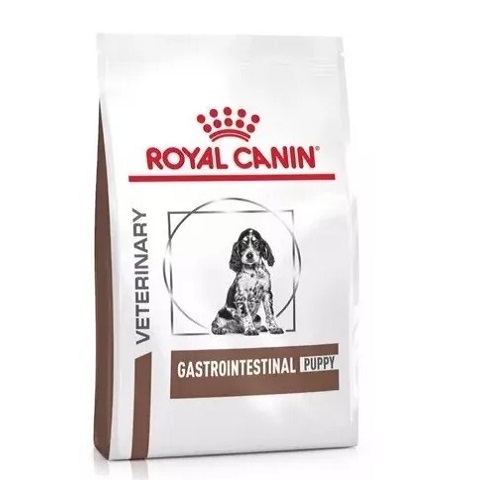 Gastro-intestinal puppy