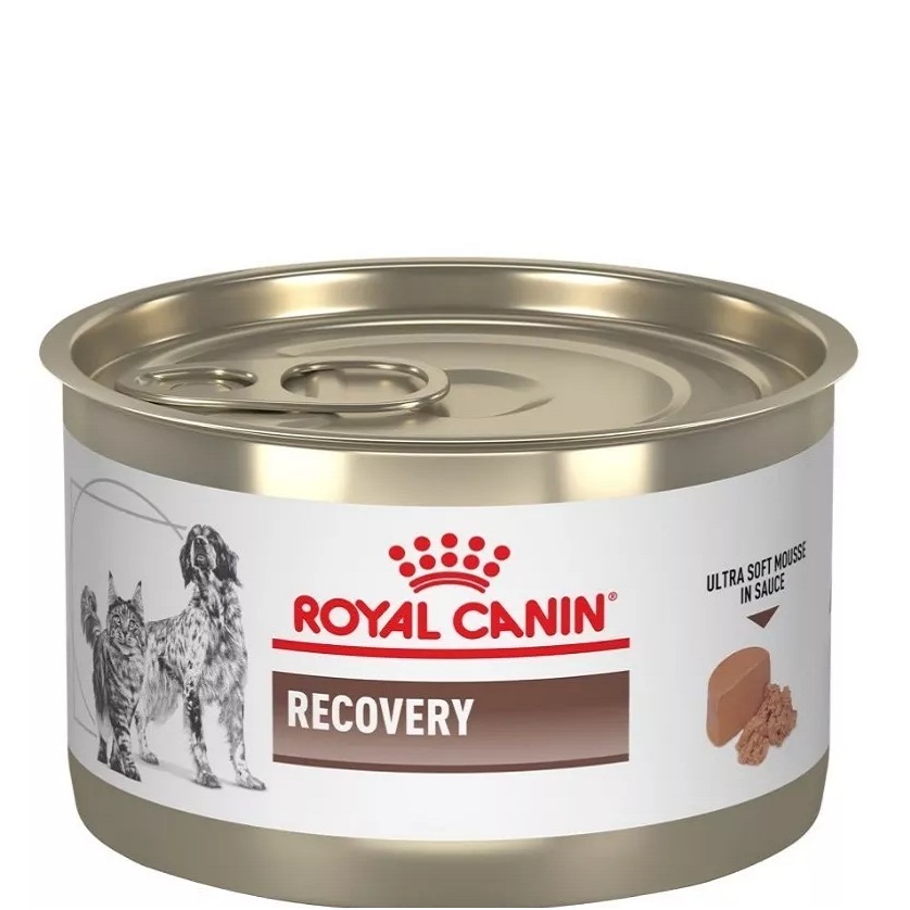 Recovery lata 145 gr