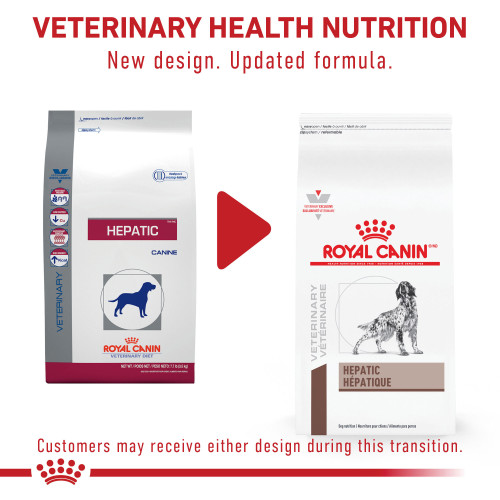 Hepatic dog