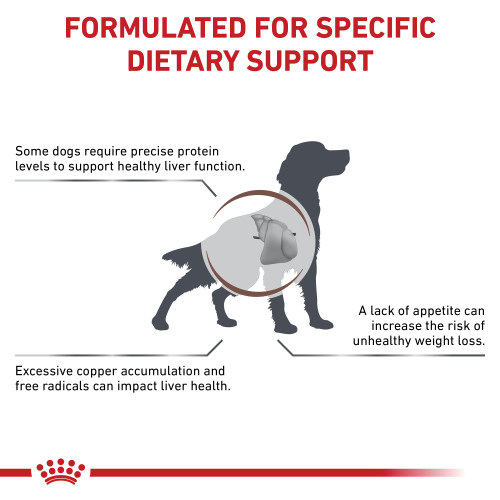 Hepatic dog