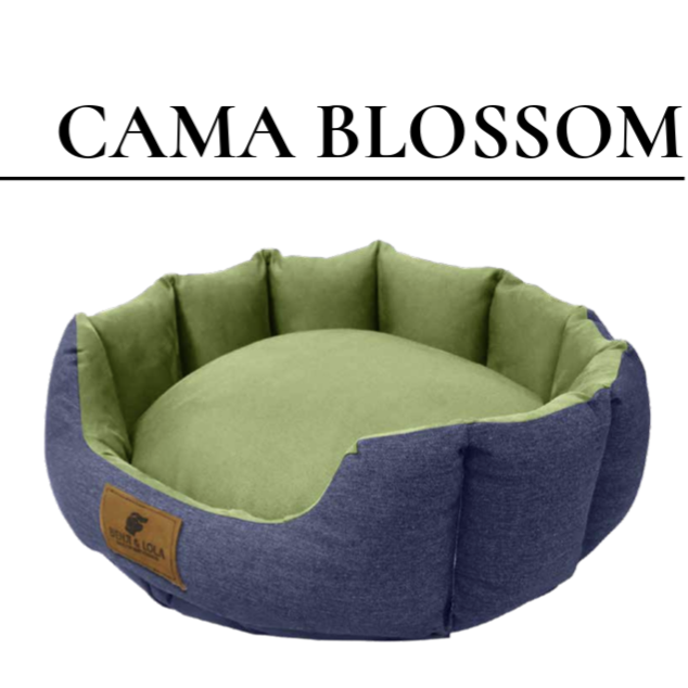 Cama Blossom Mezclilla C/Verde Manzana  Md 