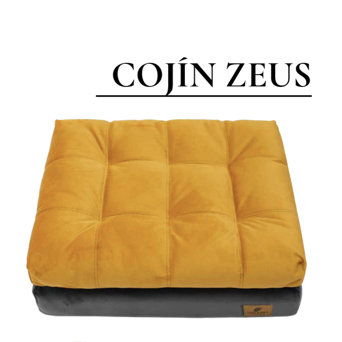 Cojín Zeus Gris C/Amarillo Mostaza CH Pza