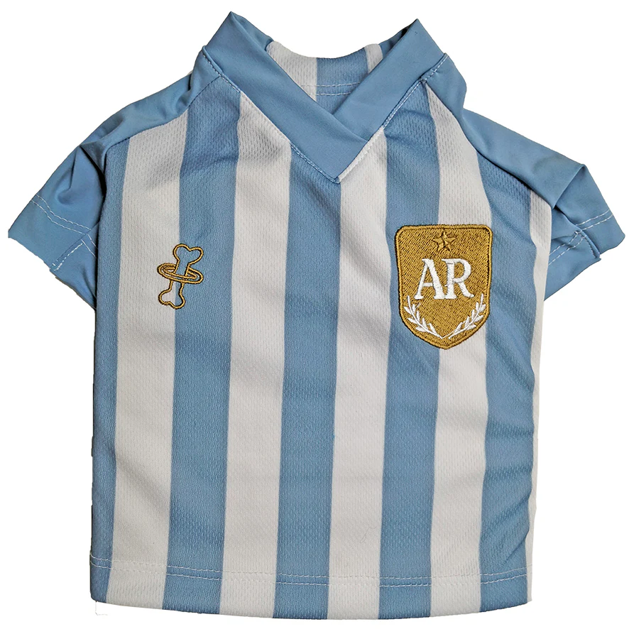 Jersey Argentina Azul talla 2