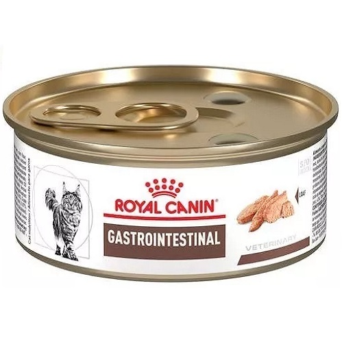 Gastro-intestinal high energy feline lata 145 gr 
