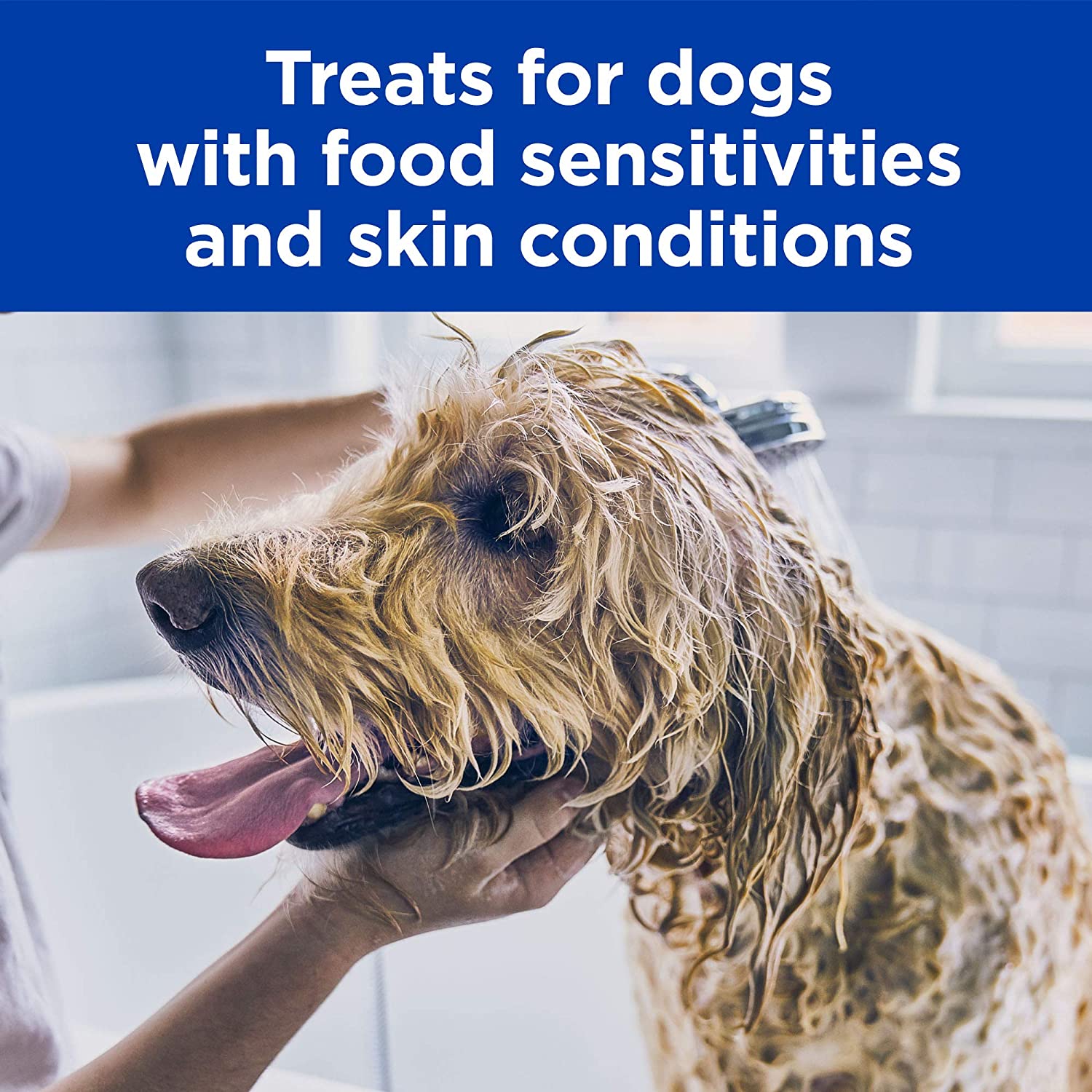 Treats hypoallergenic canino